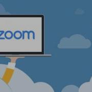 Mastering Zoom In 5 Minutes