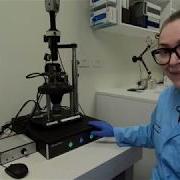 Atomic Force Microscopy AFM