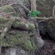 The Woman In The Suicide Forest Kuroi Jukai Aokigahara