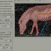 Realtime Interactive Segmentation Zebra