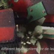 BTM T4100 FS Flower Processing Line