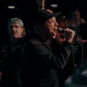 Hate5six Fiddlehead May 31 2025 Tied Down 2025