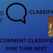 Toxic Comment Classification Using BERT End To End Project With Code