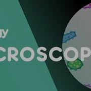 How To Use A Microscope Cells Biology FuseSchool