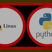 How To Manually Stop A Python Script That Runs Continuously On Linux