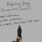 Reporting Bugs Software Testing