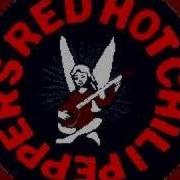 Red Hot Chili Peppers Falling Into Grace
