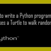 How To Write A Python Program That Causes A Turtle To Walk Randomly