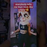 Clarification For Those Calling Me A Furry Furries Fursuit Furrymemes