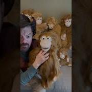 Monkeys From Silly Puppets Demo Part 2 Monkey Madness 07 The Puppet Hideaway With Eric Thomsen