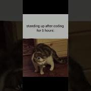 Struggles