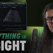 How To Use Everything In IZotope Insight 2 Intelligent Metering Plug In