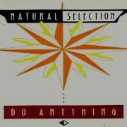 Lyrics Natural Selection Feat Niki Harris Do Anything 1991