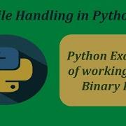 Python Example Of Working With Binary File
