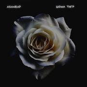 Asanrap Шома тигр Single 2021 MELOMAN MUSIC