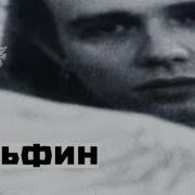Дельфин Dolphin Дверь