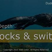 Zig In Depth Blocks And Switch