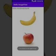 Android ImageView Simple Example Output Android Studio Tutorial For Beginners Kotlin And Java