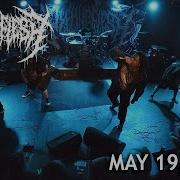 PeelingFlesh Full Set W Multitrack Audio I Guess It S A Fest 2023