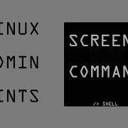 Use Of SCREEN Command