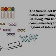 SureSelect Animation