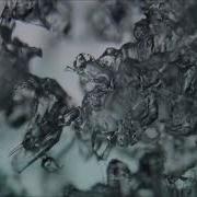 Ice Melting Under The Microscope