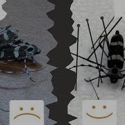 Как расслабить и прикрепить обезвоженных насекомых