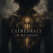 Cathedrals In My Chest
