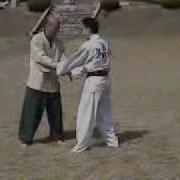 Hapkido Master