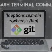 Git Bash Terminal Commands