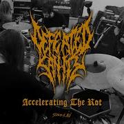 Defeated Sanity Accelerating The Rot Official Video Chronicles Of Lunacy