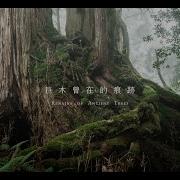 Cicada 巨木曾在的痕跡 Remains Of Ancient Trees Official MV