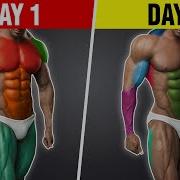 The Best 2 Day Workout Split For Mass