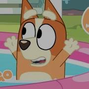 A Paddling Pool Party Whirlpool Full Bluey Minisode Bingo Official Channel