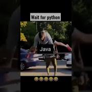 Wait For Python S Turn Coding Status Shorts