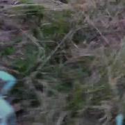 500 Magnum Destruction