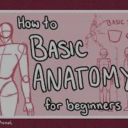How To Draw Basic Anatomy