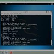 NMAP Scripting Engine