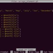Perl Arrays Element Example