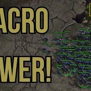 Max Out Zerg By 8 30 Easy Ladder Build
