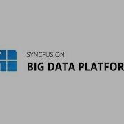 Big Data Platform