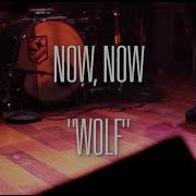 Chalk TV Now Now Wolf