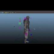 Biped Rig