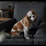 Regression Main Effects Vs Interaction Part 4 Unadjusted Main Effect Simple Linear Regression