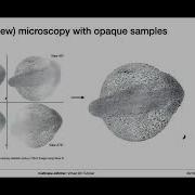 Multiview Stitcher Image Registration And Fusion In Python And Napari