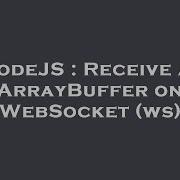 NodeJS Receive An ArrayBuffer On WebSocket Ws