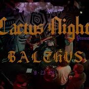 BALTHVS Cactus Nights Live Set 8 23 24
