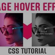 Black And White Filter With Captions On Hover Image CSS CSS Image Hover Effects CSS Tutorials