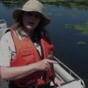 Aquatic Vegetation Sampling Protocol 2013