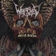 Wretched Morsel Animated Stream